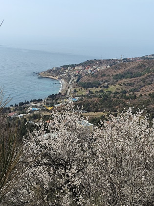 Участок под застройку с видом на море Участок под застройку с видом на море